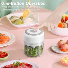 Mini Electric Garlic Chopper FLIXME WORLD