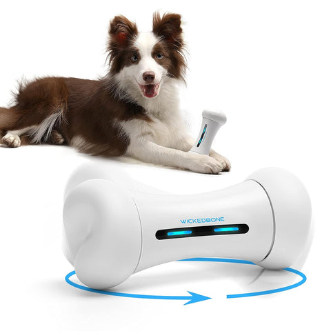 Smart Crazy Bone Pet Toy