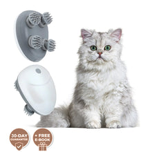 Mini Electric Pet Massager FLIXME WORLD