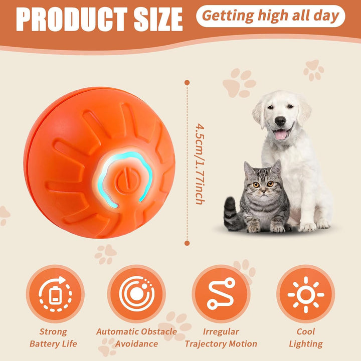 Bouncing Ball for Dogs & Cats