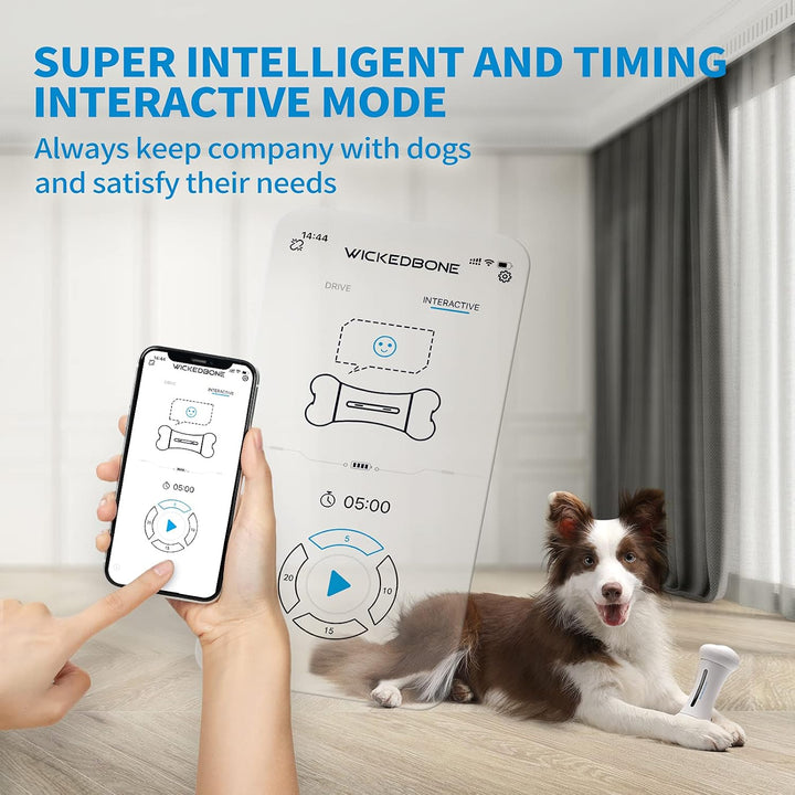 Smart Crazy Bone Pet Toy