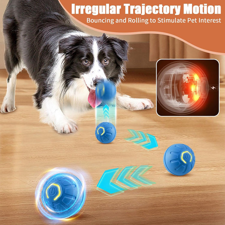 Bouncing Ball for Dogs & Cats
