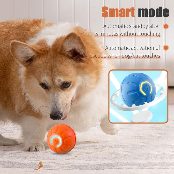 Bouncing Ball for Dogs & Cats
