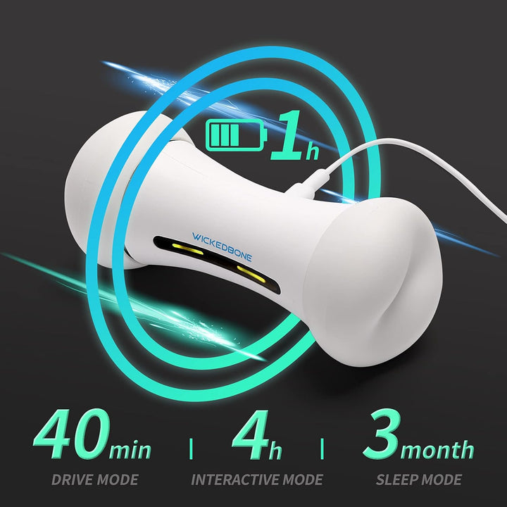 Smart Crazy Bone Pet Toy