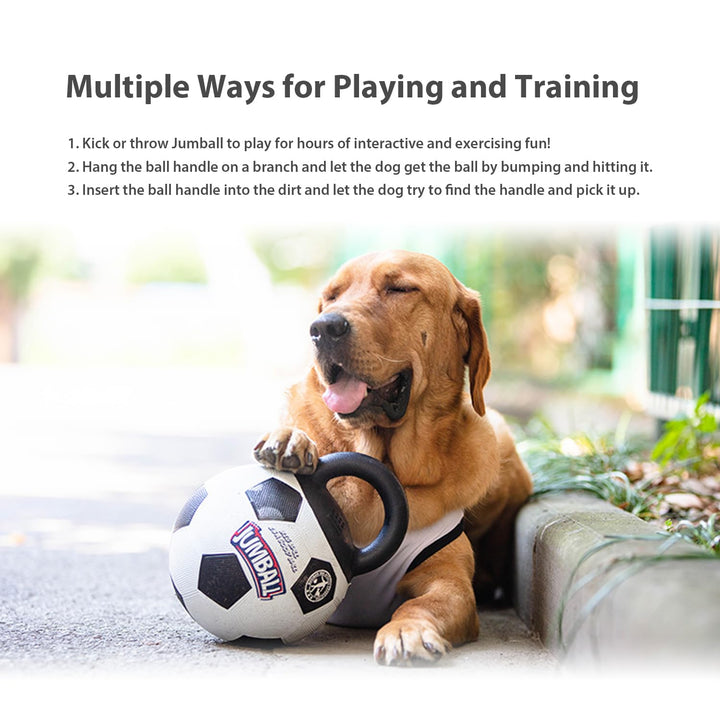Jianbao Bite-Resistant Dog Puzzle Toy Ball
