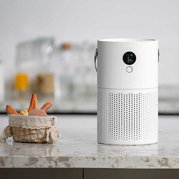 AP01 USB/Battery Powered Air Purifier FLIXME WORLD