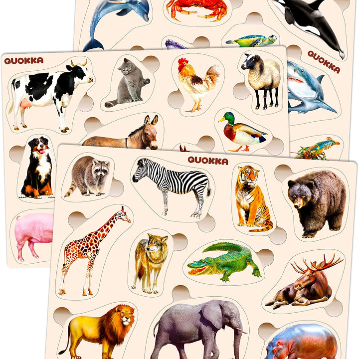 6-Piece Wooden Toddler Puzzle Set