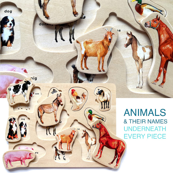 6-Piece Wooden Toddler Puzzle Set