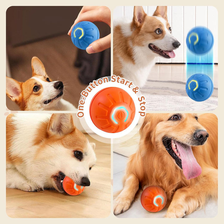 Bouncing Ball for Dogs & Cats