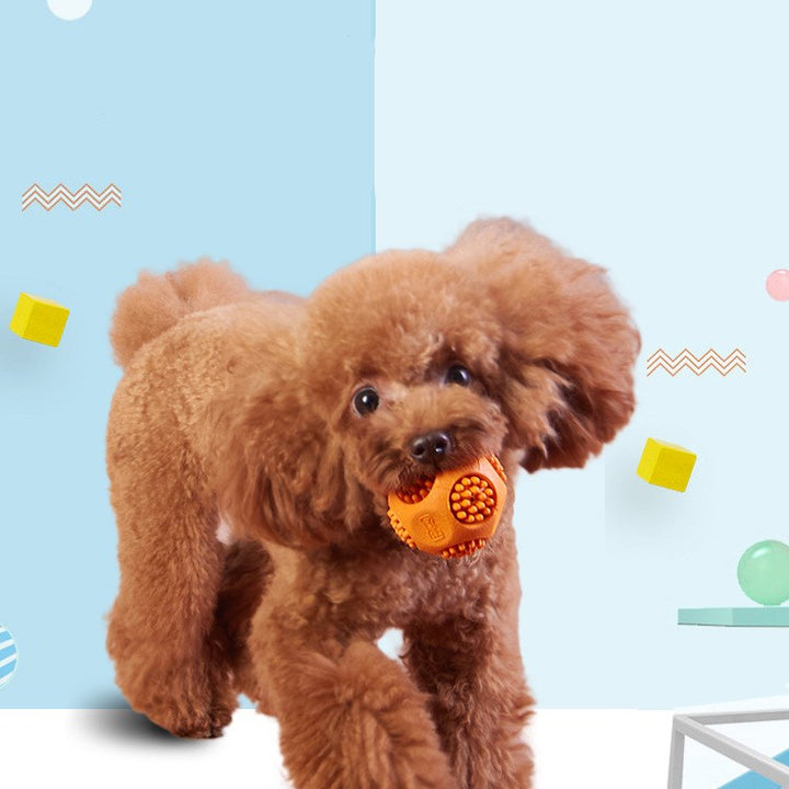 Durable Rubber Chew Ball for Dogs – Whistle Sound, Teeth Cleaning & Interactive Fetch Toy