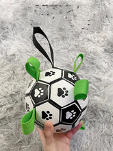 Dog Football Toys