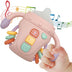 Baby Musical Sensory Rattle Toy
