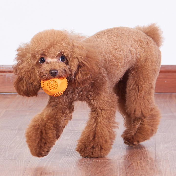 Durable Rubber Chew Ball for Dogs – Whistle Sound, Teeth Cleaning & Interactive Fetch Toy