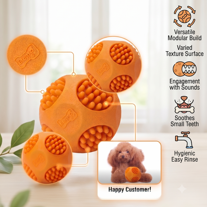 Squeaky Chew Ball for Dogs