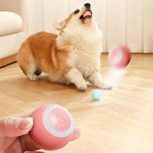 Smart Ball Toys For Cat And Dog FLIXME WORLD