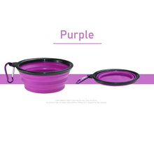 Pet Bowl FLIXME WORLD