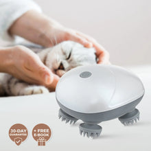 Mini Electric Pet Massager FLIXME WORLD