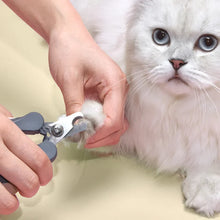 Pet Clipper FLIXME WORLD