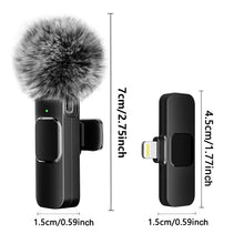 Rechargeable Wireless Microphone FLIXME WORLD