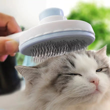 Pet Brush FLIXME WORLD