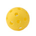 Outdoor Pickleball Paddle | 40 & 26 Hole Balls