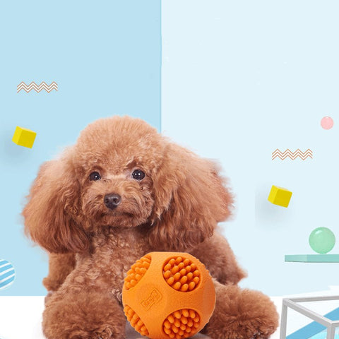 Durable Rubber Chew Ball for Dogs – Whistle Sound, Teeth Cleaning & Interactive Fetch Toy