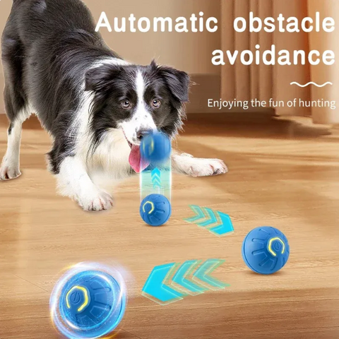 Interactive Bouncing Ball for Dogs & Cats – USB Rechargeable Automatic Moving