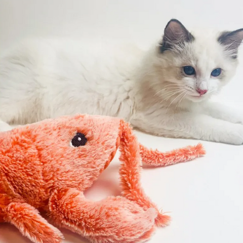 Electric Jumping Shrimp Cat Toy – USB Rechargeable Plush Interactive Pet Toy with Touch & Swing Modes