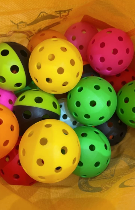 Outdoor Pickleball Paddle | 40 & 26 Hole Balls