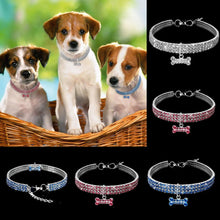 Pet Collar FLIXME WORLD