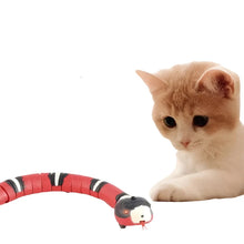 Electronic Snake Interactive Cat Toys