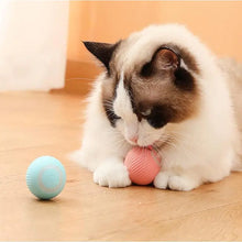 Smart Ball Toys For Cat And Dog FLIXME WORLD