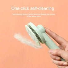 Pet Brush FLIXME WORLD