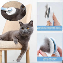 Effortless Pet Grooming with Pet Brush FLIXME WORLD