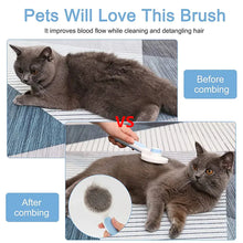 Effortless Pet Grooming with Pet Brush FLIXME WORLD