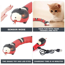 Electronic Snake Interactive Cat Toys